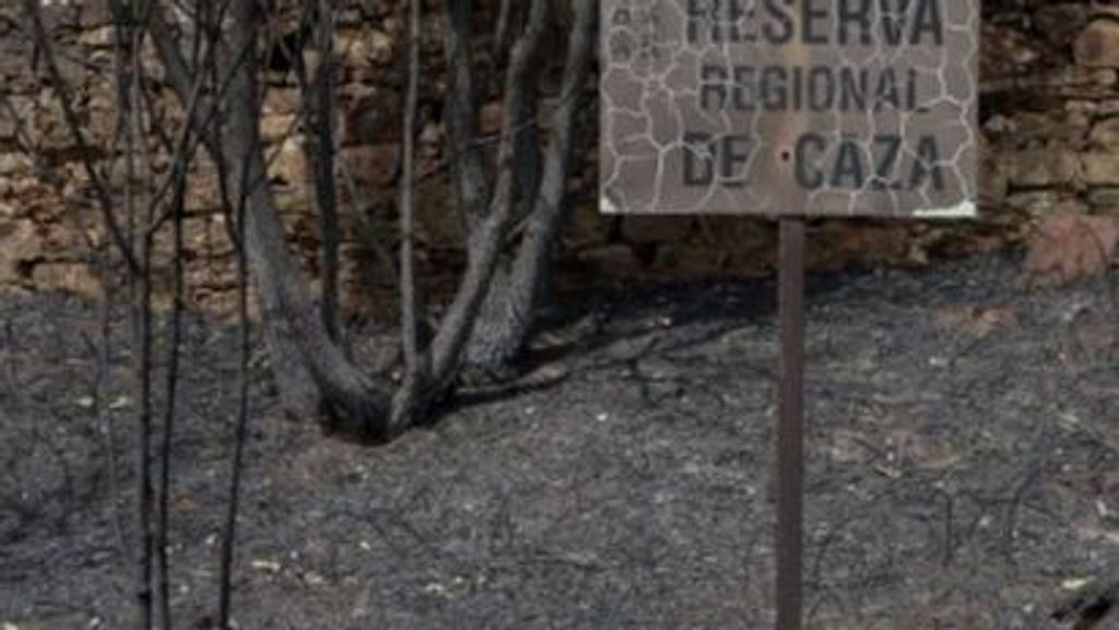 Fuego en la cuna del lobo ibérico