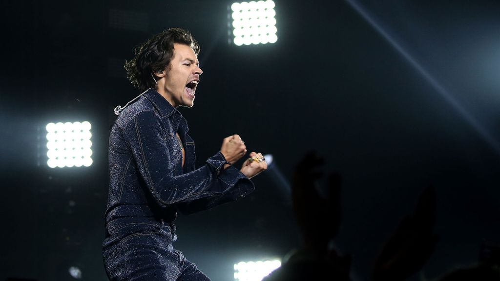 Harry Styles detiene un concierto para saludar a alguien especial en el público