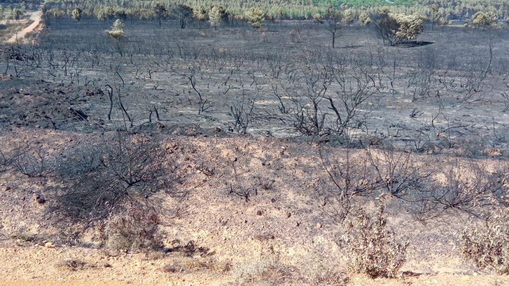 Los vecinos indignados por el incendio de Sierra de la Culebra