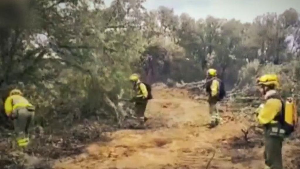 Más de 37.000 hectáreas calcinadas en España