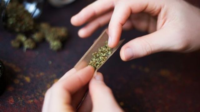 El Cannabis Es La Sustancia Ilegal Más Consumida En España 6755