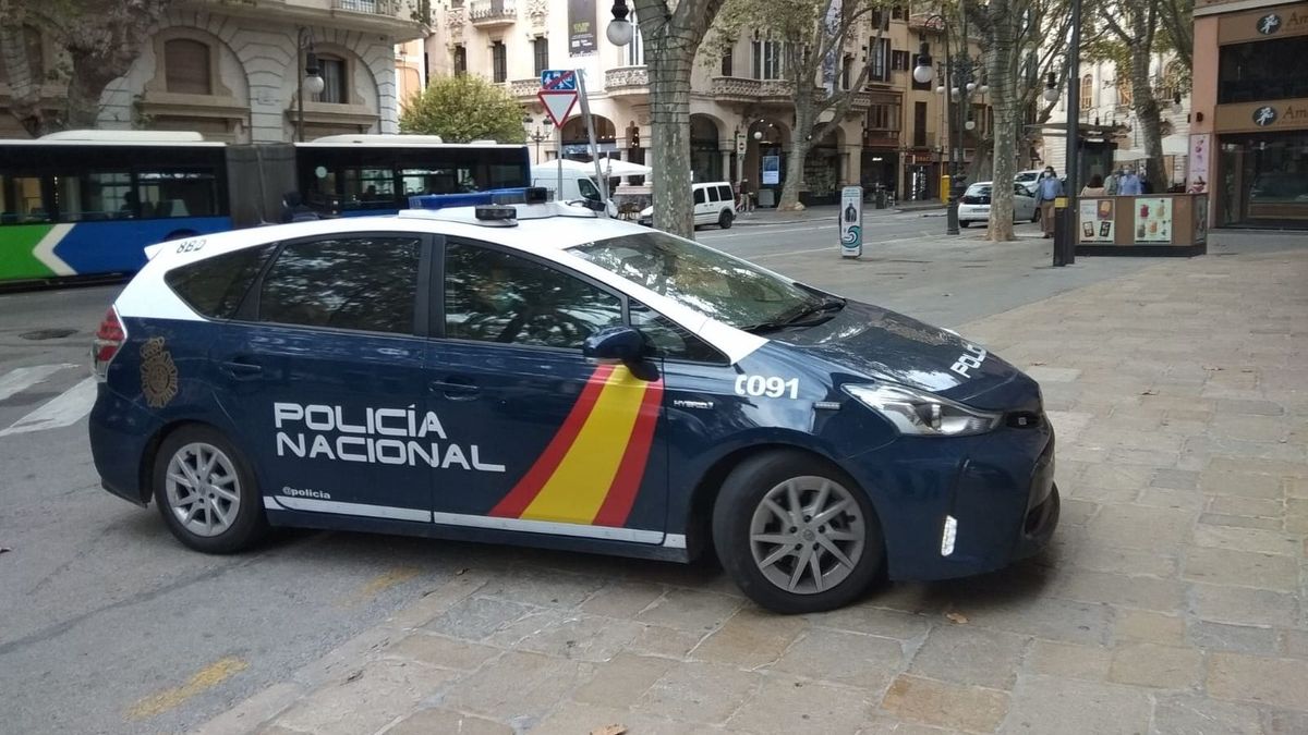 La policía ya ha abierto dos expediente a la empresa organizadora del concierto de Palma de Mallorca