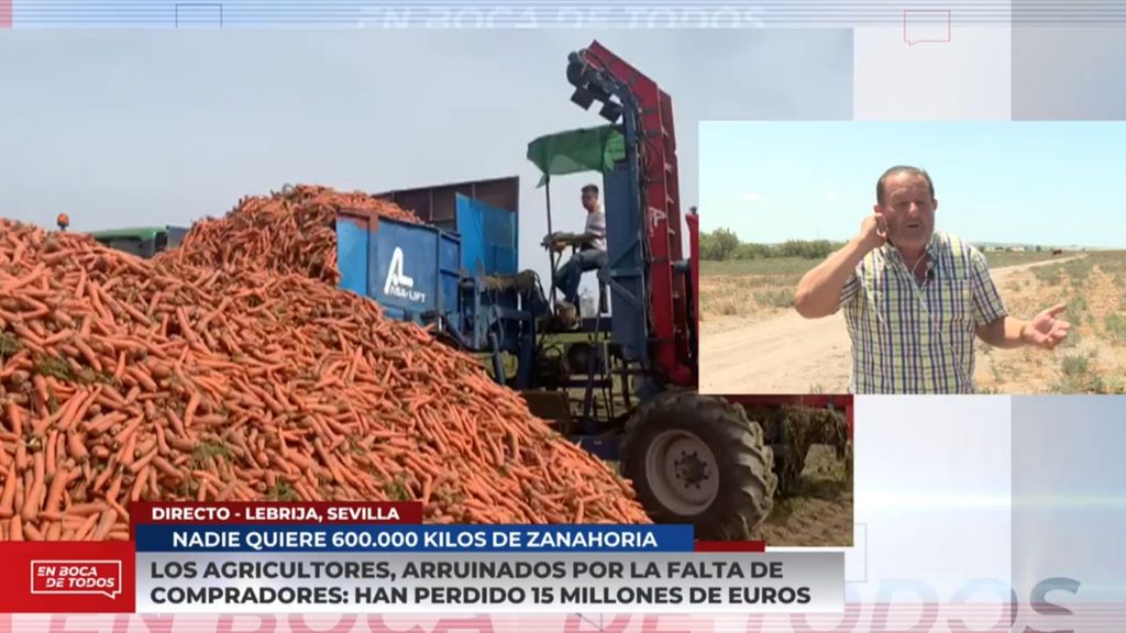 Los agricultores, arruinados porque nadie quiere comprarles zanahorias: "Nos están asfixiando"