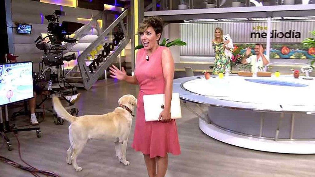 Pelea canina en ‘Ya es mediodía’: Freshito, el perrito de Alba Carrillo, se vuelve loco al ver a Tacker, la mascota de Sonsoles Ónega