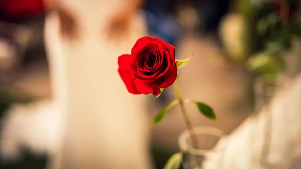 La flor roja significará amor y pasión.