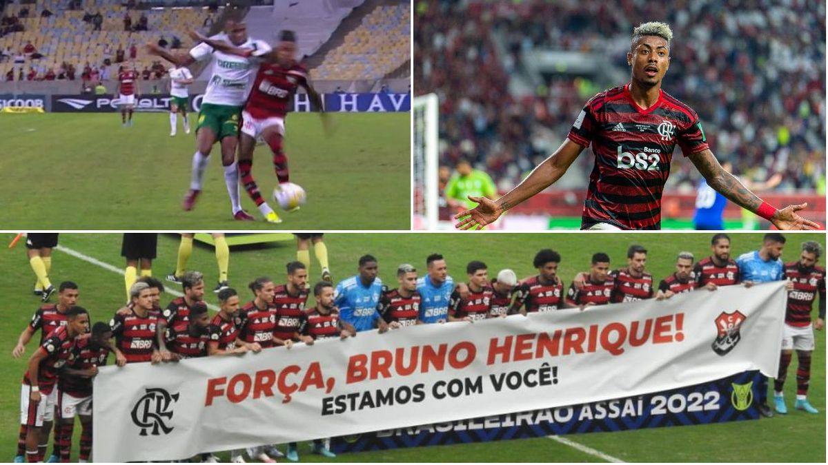 bruno bruno