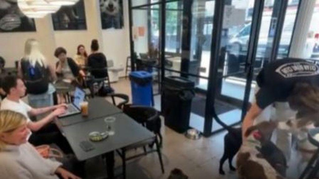 Abre en Nueva York un establecimiento de café para perros y sus dueños