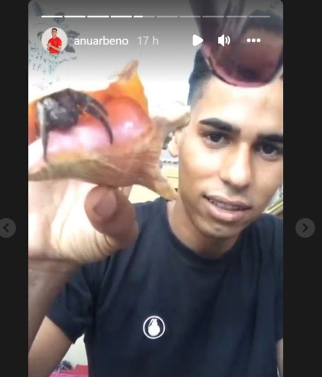 Anuar muestra la tarántula