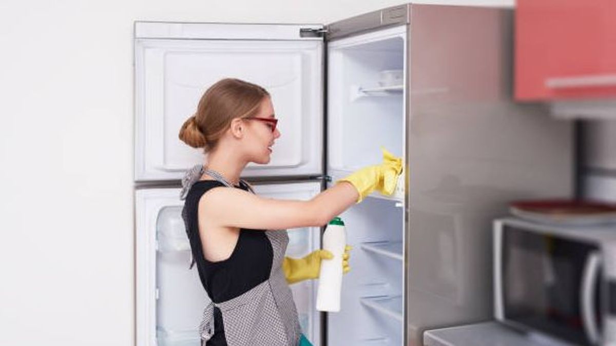 Descubre lo fácil que es cambiar las gomas de tu frigorífico - FreshMAG
