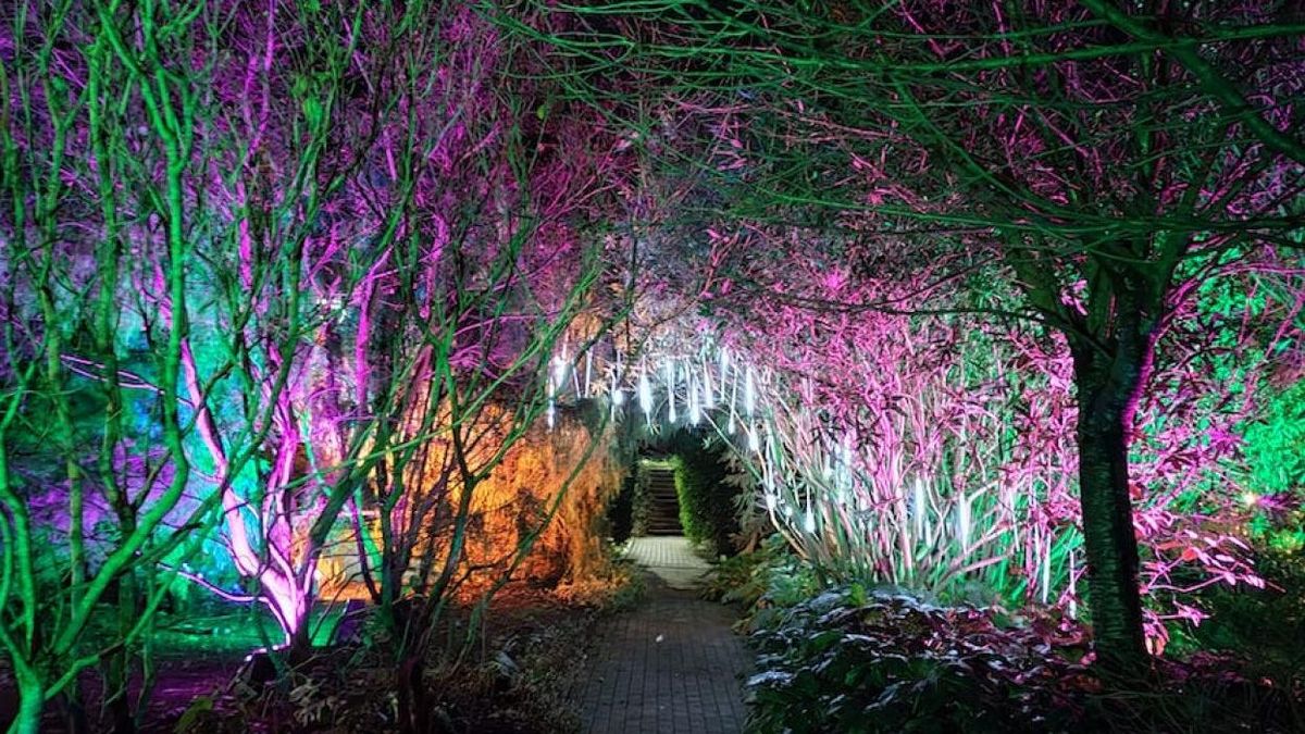 Jardín de Barakaldo iluminado Jardín de Barakaldo iluminado