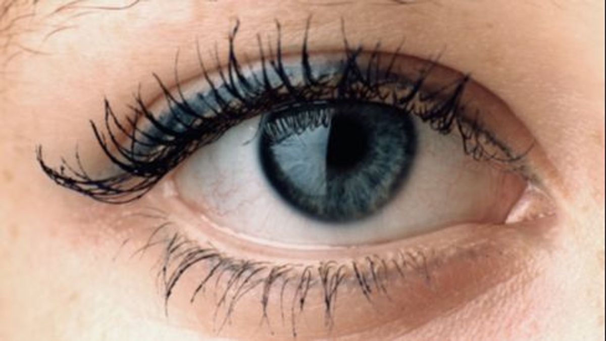 Los virus como el del ébola encuentran refugio en los tejidos de la retina y el iris