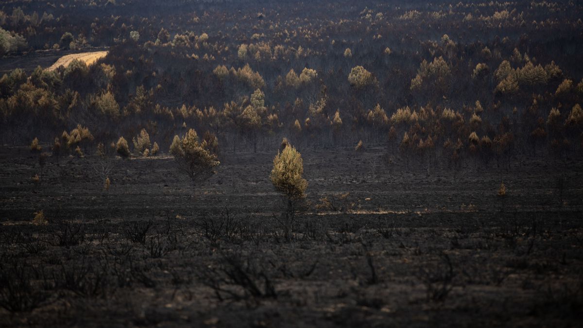 Vista general de la zona de Cabañas de Aliste tras el incendio sofocado hace dos días e iniciado el pasado día 15 en la Sierra de la Culebra