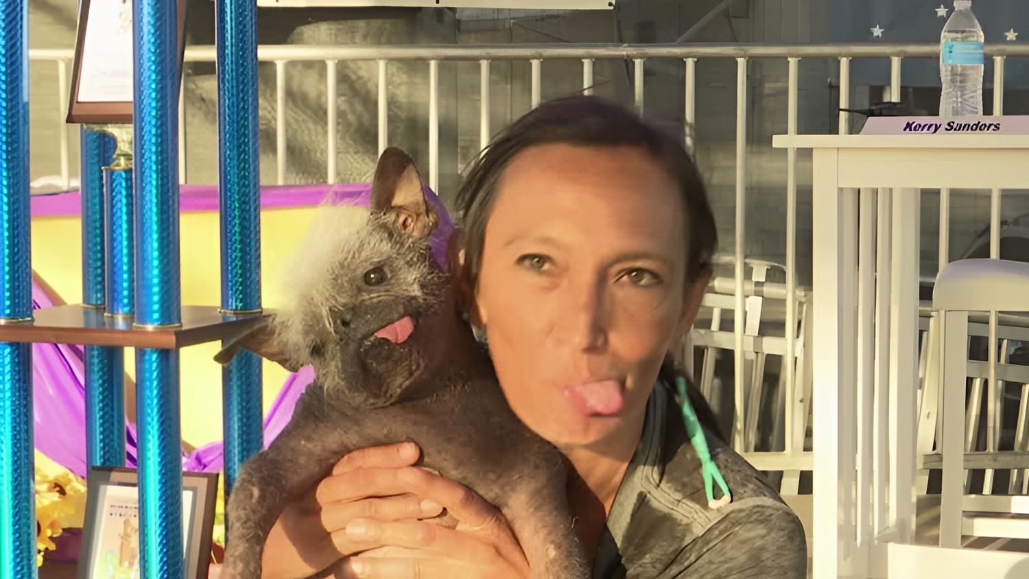 Elegido el perro más feo