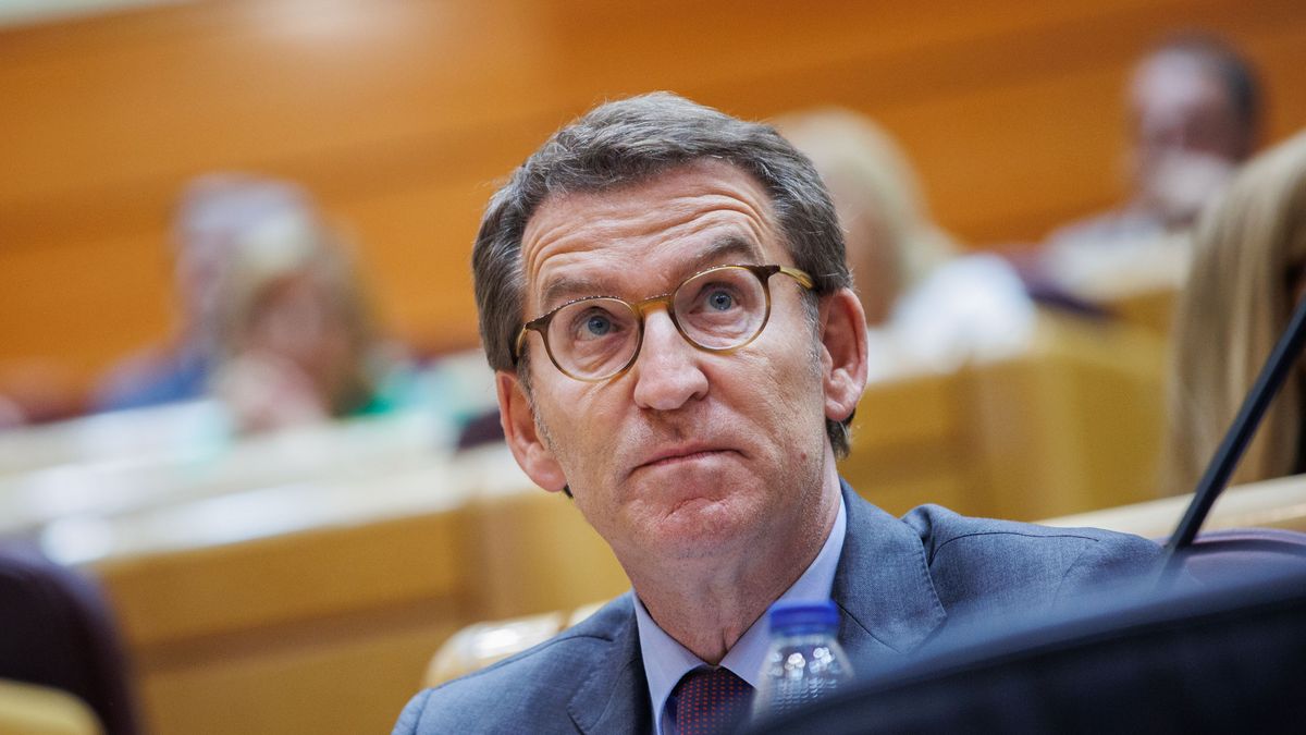 EuropaPress 4532909 lider pp alberto nunez feijoo sesion plenaria senado 21 junio 2022 madrid EuropaPress 4532909 lider pp alberto nunez feijoo sesion plenaria senado 21 junio 2022 madrid