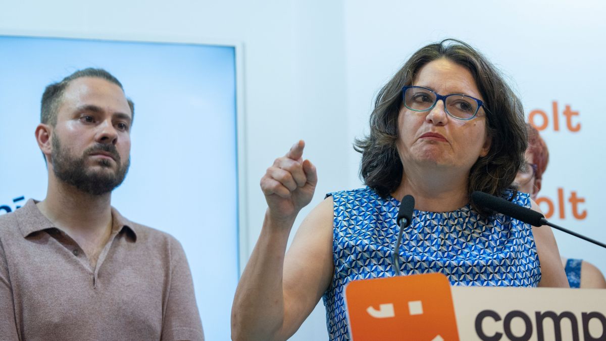 El TSJCV suspende la declaración de Oltra y pide a Les Corts que certifique su renuncia como diputada El TSJCV suspende la declaración de Oltra y pide a Les Corts que certifique su renuncia como diputada