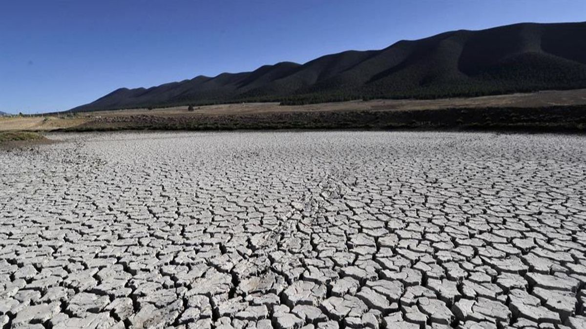 Habrá sequías sin precedentes en un futuro próximo por el cambio climático