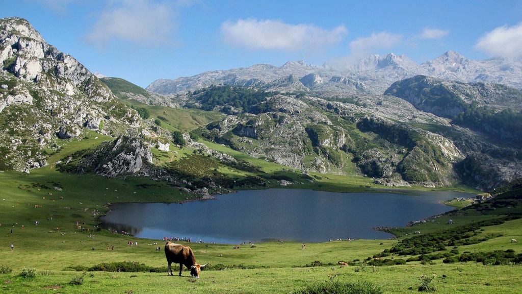 El Parque Nacional de los Picos de Europa será un marco incomparable para disfrutar de la naturaleza.