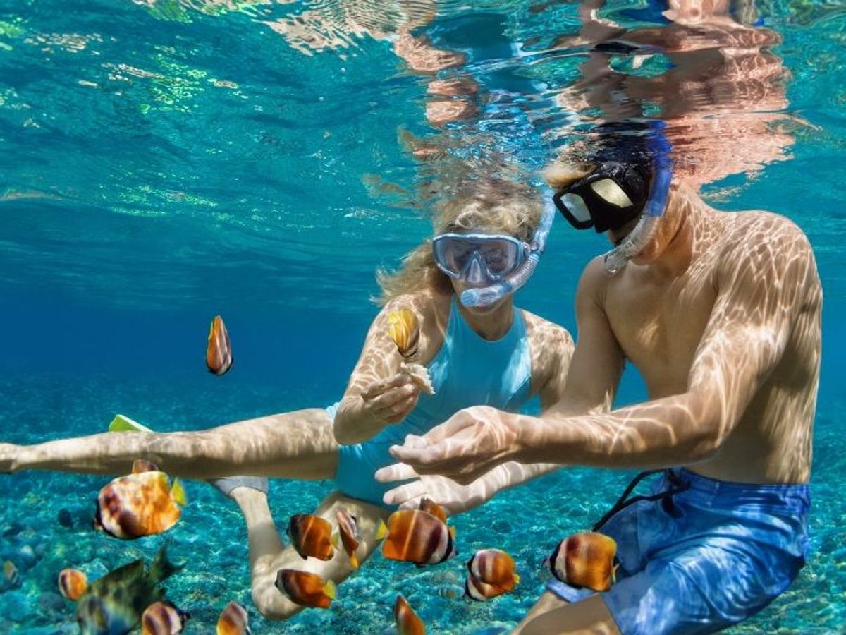 La máscara para hacer snorkel que necesitas este verano ¡ahora con un  descuento del 47%! - Telecinco
