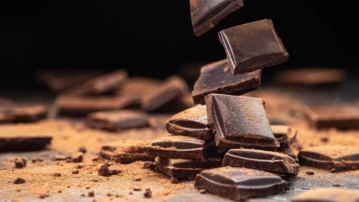 Aparece salmonelosis en la mayor fábrica de chocolate del mundo