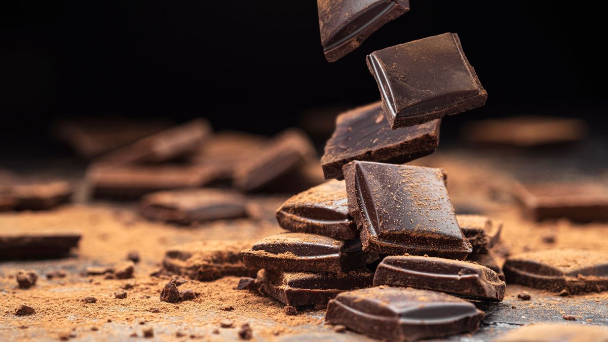 Aparece salmonelosis en la mayor fábrica de chocolate del mundo