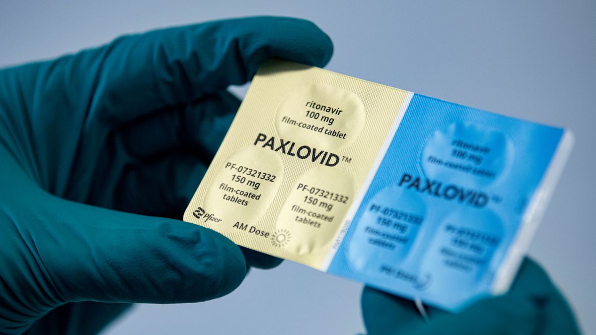 Paxlovid Paxlovid