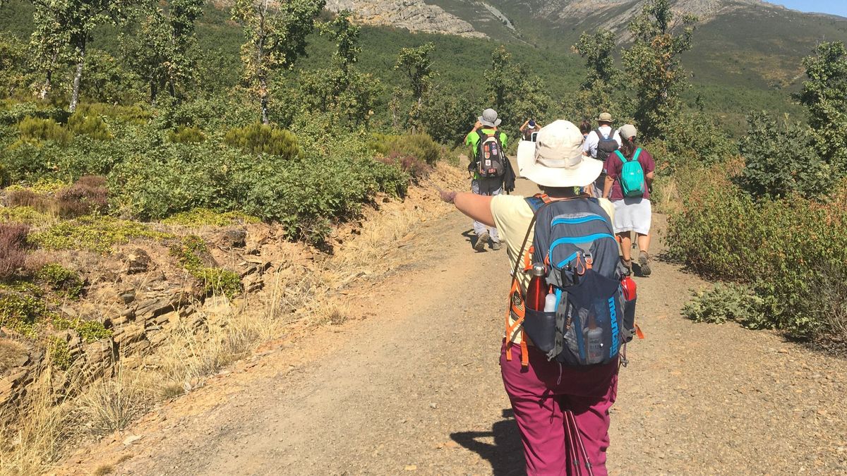 Varios senderistas durante una ruta Varios senderistas durante una ruta