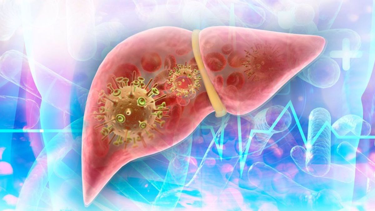 Virus attack in human liver. 3d illustration Virus attack in human liver. 3d illustration