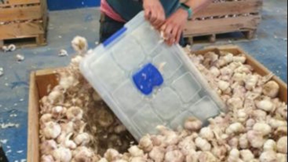 Desarticulado almacén con 122 kilos de droga en Cijuela Desarticulado almacén con 122 kilos de droga en Cijuela