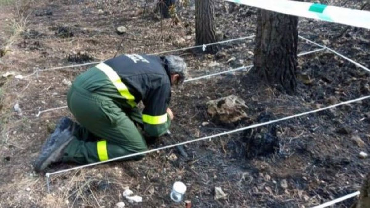 Investigación de los Agentes Rurales de las causas del incendio en Sant Pere de Ribes