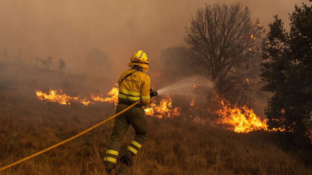 Los incendios forestales han quemado 69.869,38 hectáreas de superficie
