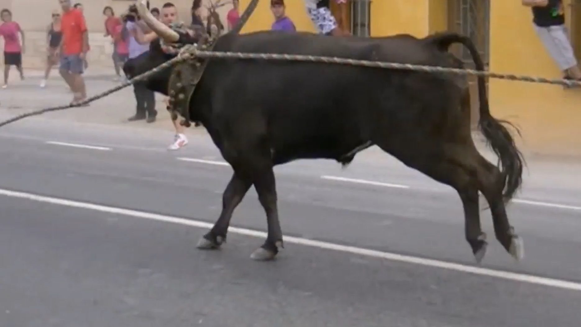 Un niño de 12 años, herido tras la cornada de un toro en Valencia