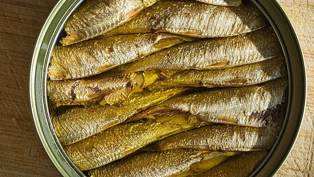 conserva de pescado