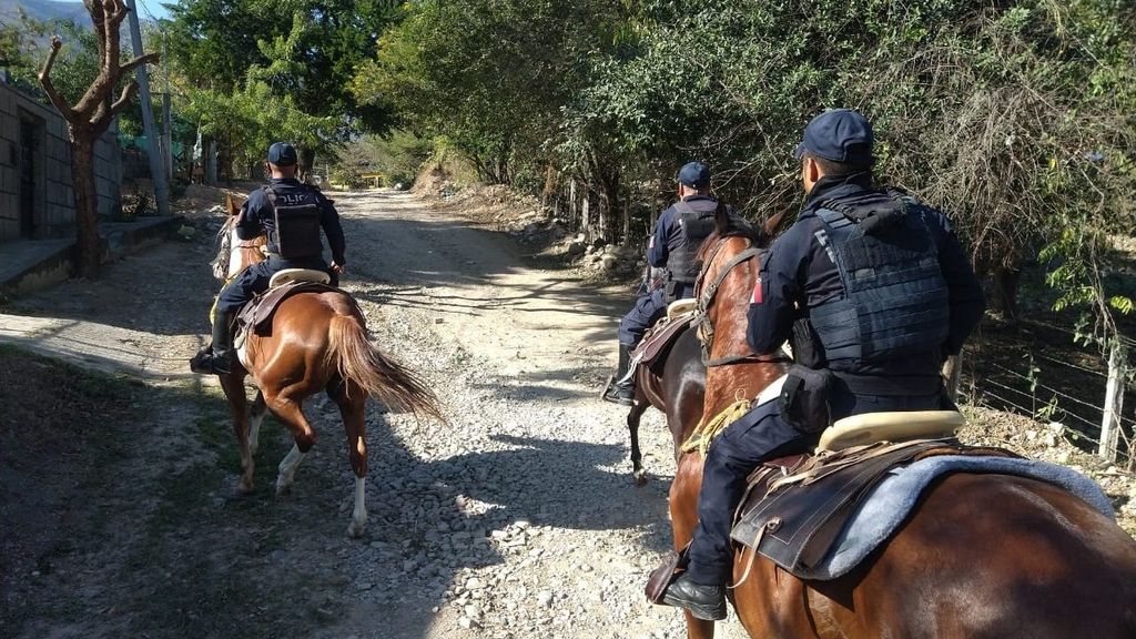 Siete miembros de una familia han sido asesinados a tiros mientras dormían en Veracruz, México