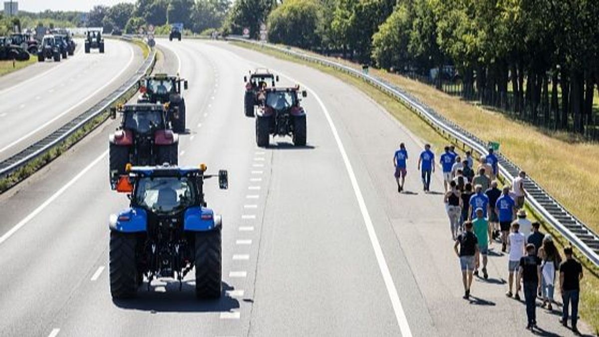 Protestas de los ganaderos y agricultores en Holanda Protestas de los ganaderos y agricultores en Holanda