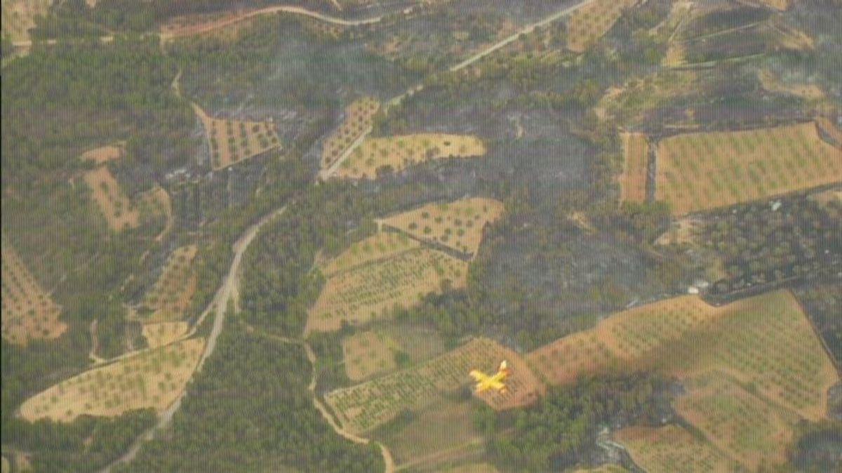 Zona del incendio en Venta del Moro Zona del incendio en Venta del Moro