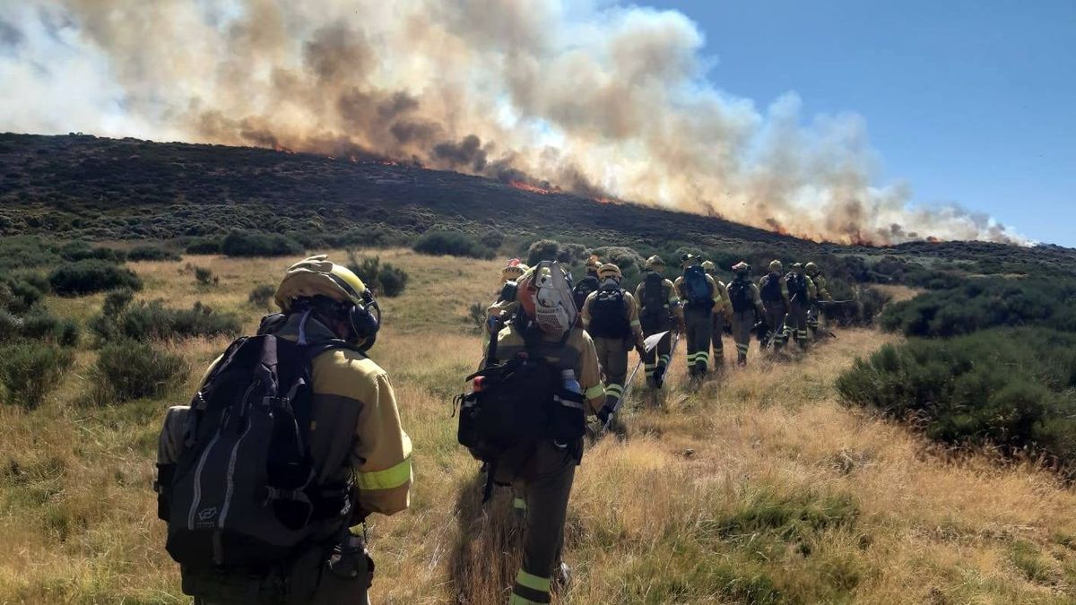 Declarado un incendio en Serranillos (Ávila) Declarado un incendio en Serranillos (Ávila)