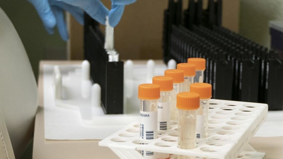 Sanidad confirma 21 nuevos casos de viruela del mono en la Comunidad Valenciana Sanidad confirma 21 nuevos casos de viruela del mono en la Comunidad Valenciana