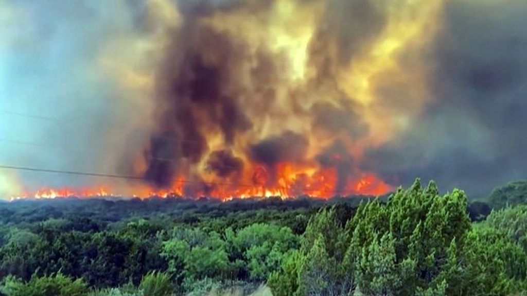 ¿Cómo sobrevivir a un incendio forestal?