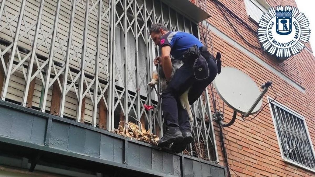 El rescate de un perro en Aluche, en Madrid