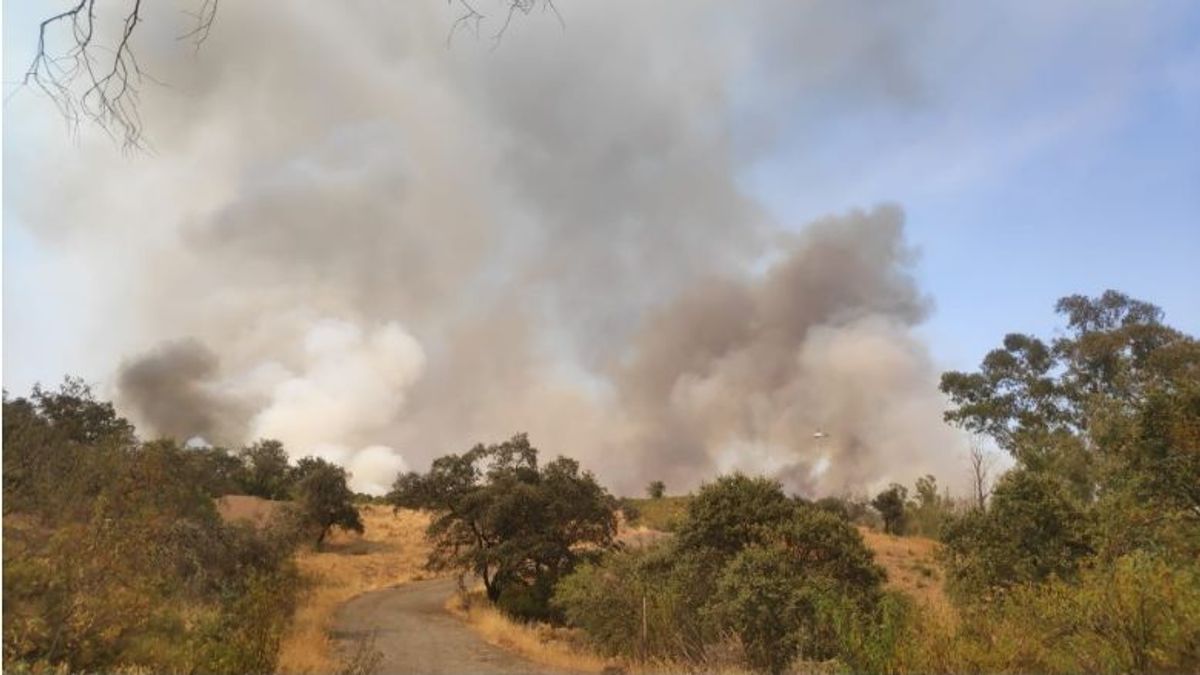 Incendio El Ronquillo 1 Incendio El Ronquillo 1