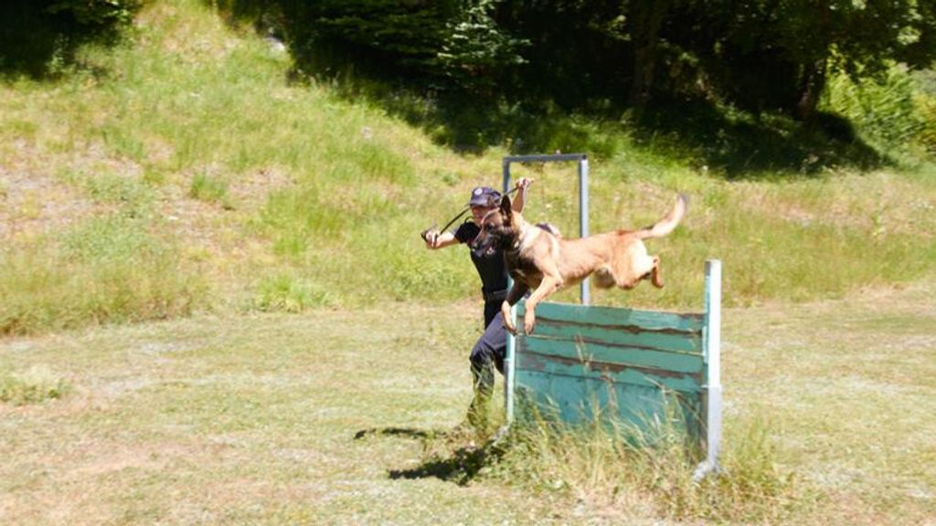 Ocho mujeres especialistas se integran, por primera vez, en la Unidad Canina de la Ertzaintza