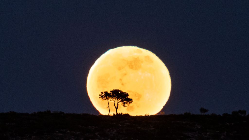 A mediados de julio se producirá la luna más grande de 2022