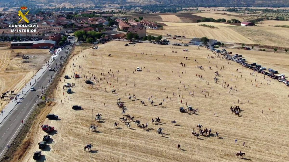 Encierro por el campo de Uceda Encierro por el campo de Uceda