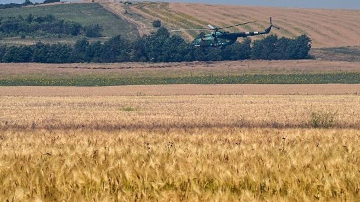Helicóptero sobrevolando un campo de trigo ucraniano Helicóptero sobrevolando un campo de trigo ucraniano