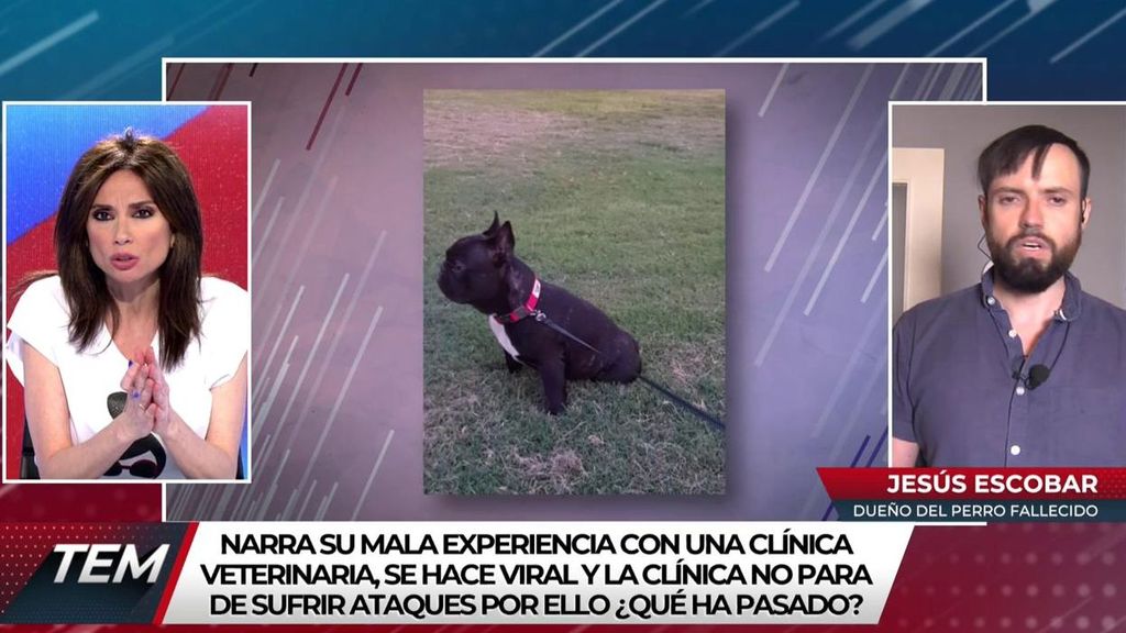 Jesús Escobar: "Mi perro murió porque se negaron a atenderlo en la clínica veterinaria"