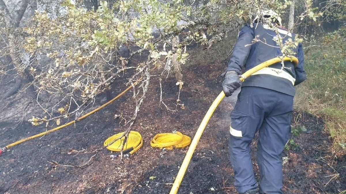Un bombero trabaja en un incendio forestal en Álava