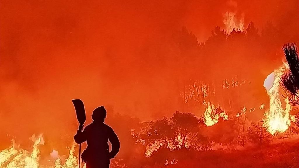 Los incendios forestales aumentan en plena ola de calor