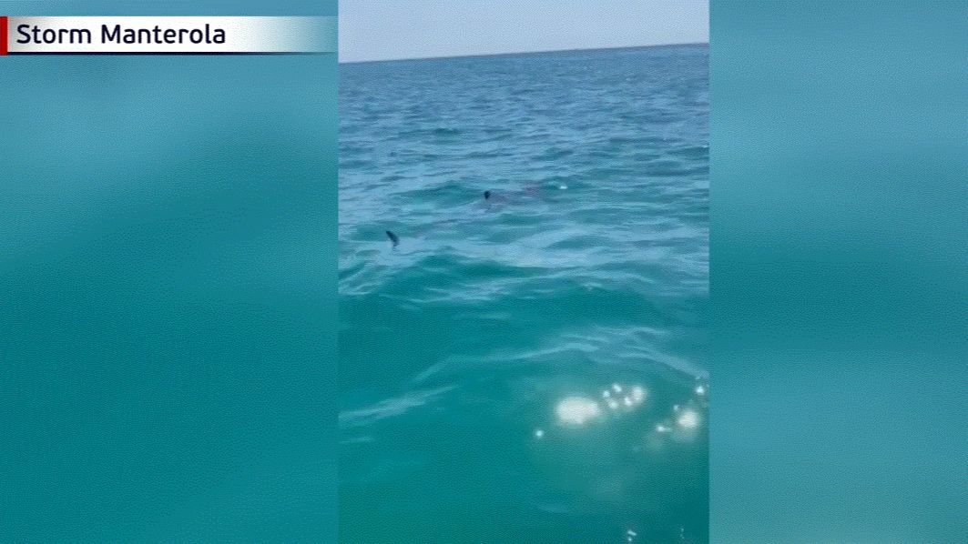 Imágenes del tiburón que ha sembrado el miedo en las playas de Barcelona