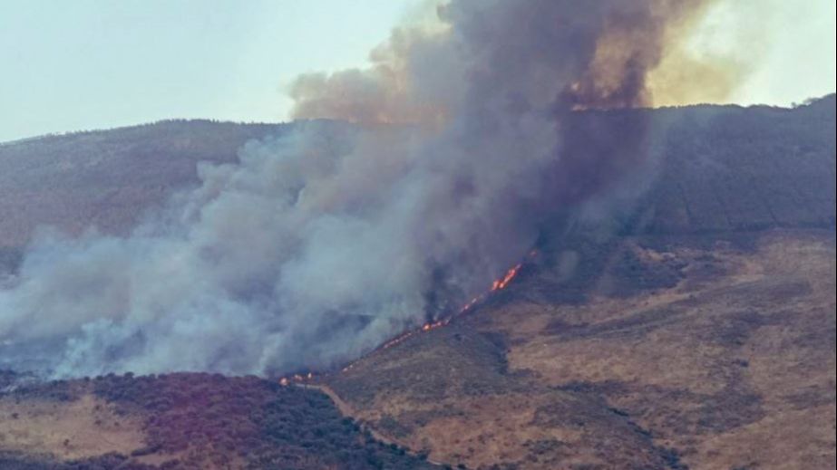 Las llamas amenazan el municipio de Casas de Miravete, muy cerca del Parque Nacional de Monfragüe