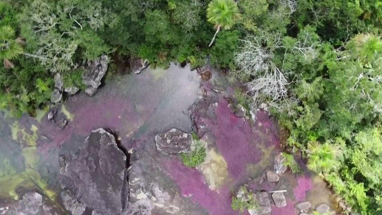 Los siete colores que convierte a un río de Colombia en el más bello del mundo